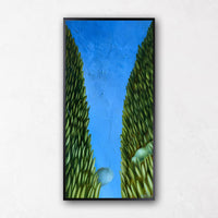 Valley Paintings with Clouds and Blue Sky