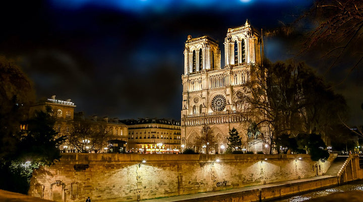 Historic Notre Dame Fire