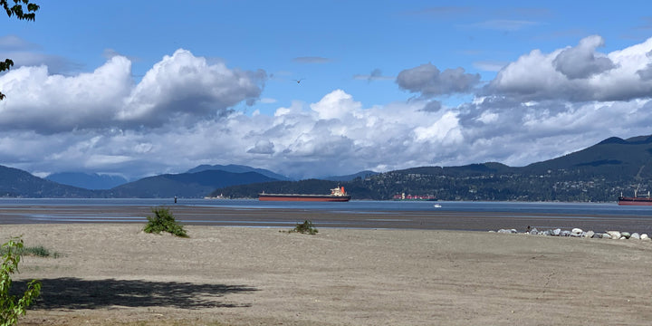 Vancouver Beach with Freighter