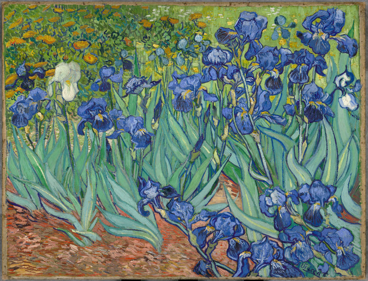 Vincent Van Gogh the Dutch master