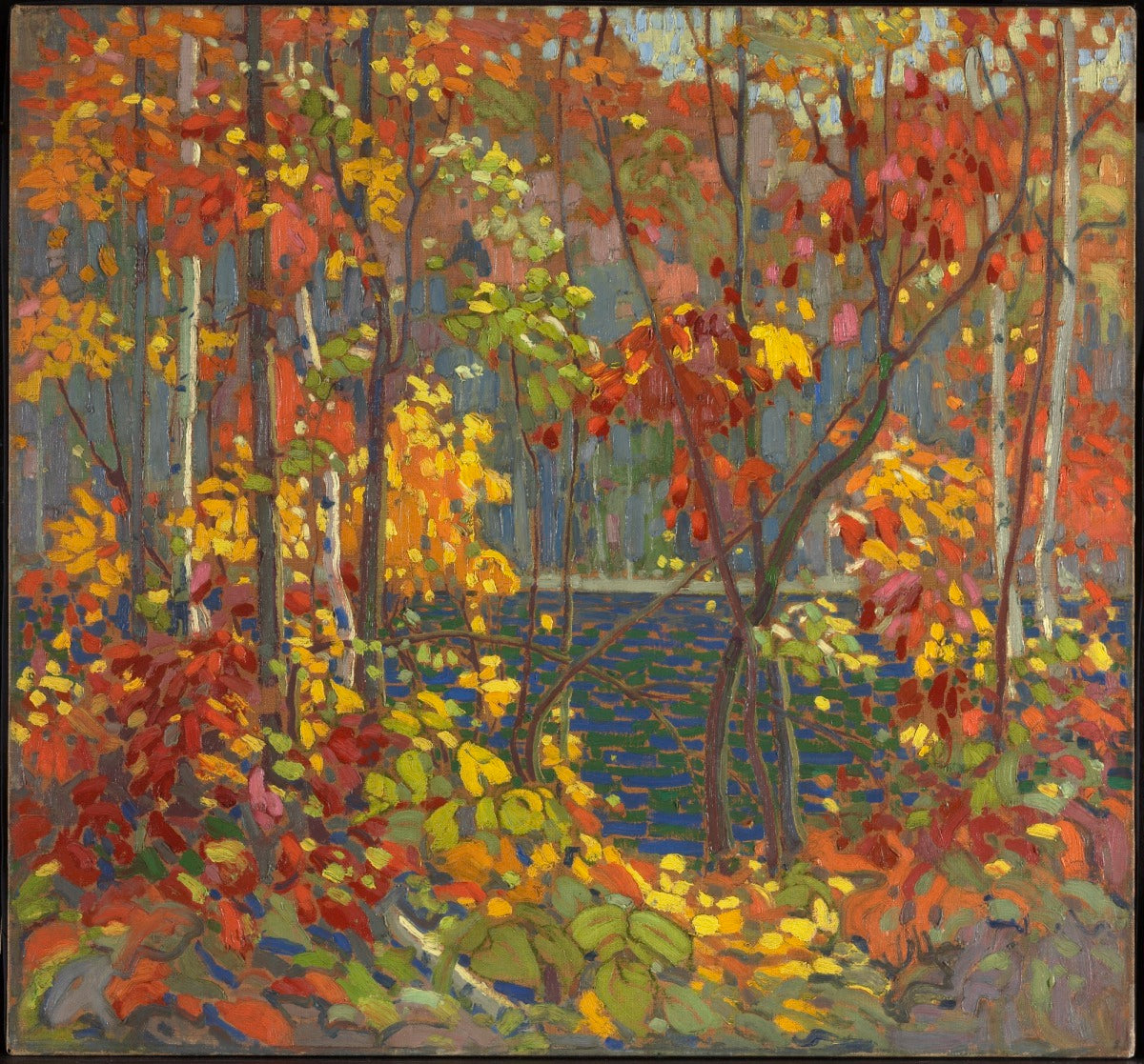 Tom Thomson School Schedule at Frank Duke blog