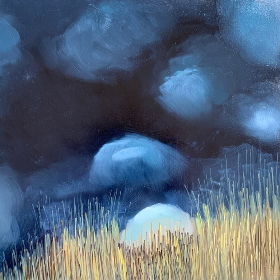 night cloud paintings with grass